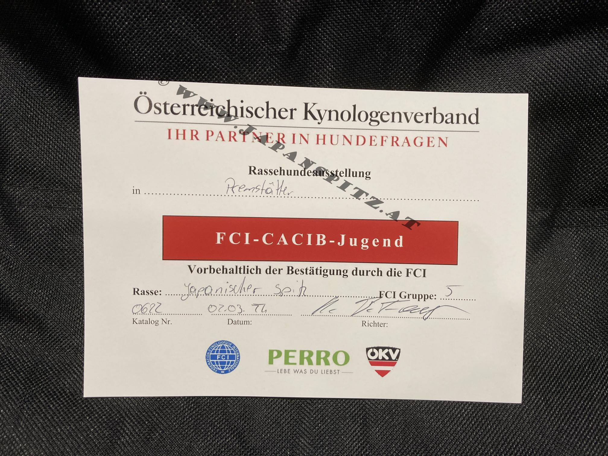 Rassehundeausstellung, Premstätten März 2024